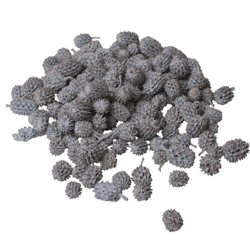 Casurina 15dkg/csom - Tengerkék