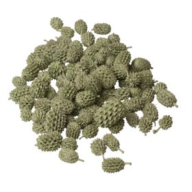 Casurina 15dkg/csom - Zsályazöld