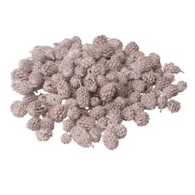 Casurina 15dkg/csom - Fehér tea