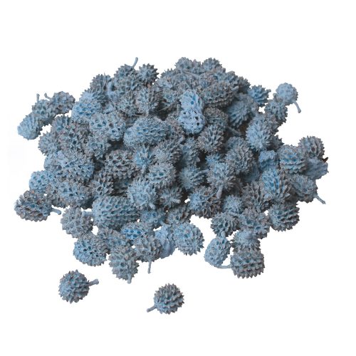 Casurina 15dkg/csom - Hidegkék