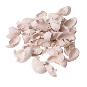 Fül termés 15dkg/csom - Fehérített