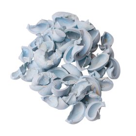 Fül termés 15dkg/csom - Hidegkék