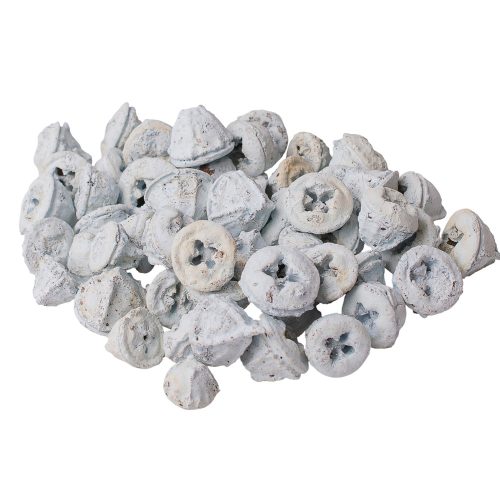 Eukaliptusz termés 15dkg/csom - Fehérített