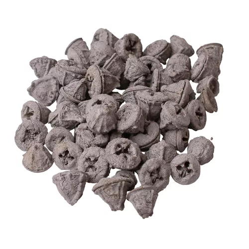 Eukaliptusz termés 15dkg/csom - Hamuszürke