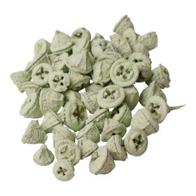 Eukaliptusz termés 15dkg/csom - Zsályazöld