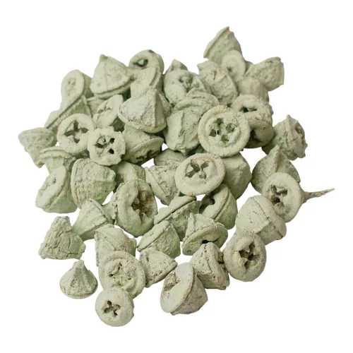 Eukaliptusz termés 15dkg/csom - Zsályazöld