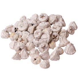 Eukaliptusz termés 15dkg/csom - Fehér tea