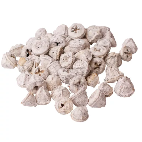 Eukaliptusz termés 15dkg/csom - Fehér tea