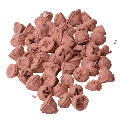 Eukaliptusz termés 15dkg/csom - Pasztell rózsaszín