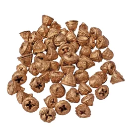Eukaliptusz termés 15dkg/csom - Arany