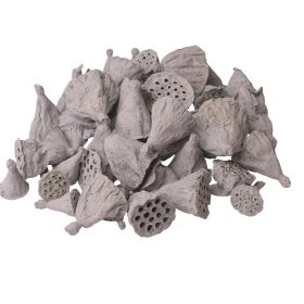 Mini lótusz 1-3cm, 50db/csom - Hamuszürke