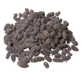 Pine Birch 15dkg/csom - Tengerkék