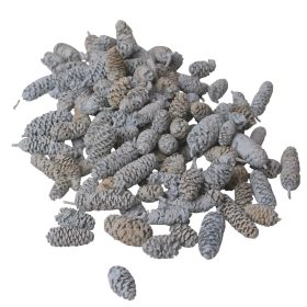 Pine Birch 15dkg/csom - Hamuszürke