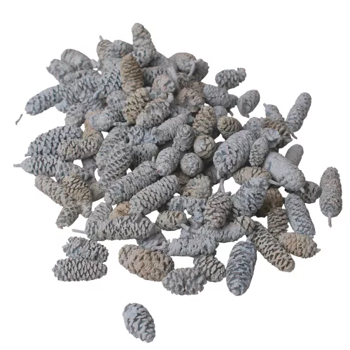 Pine Birch 15dkg/csom - Hamuszürke