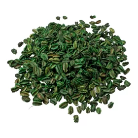 Arjun Mini 20dkg/csom - Sötétzöld