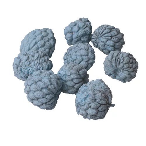 Ata gyümölcs mini 15dkg/csom - Hidegkék