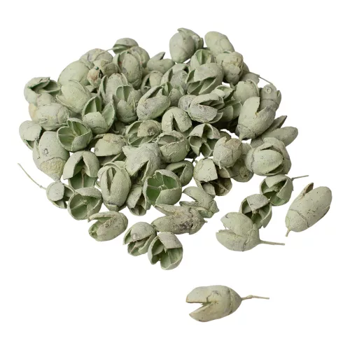 Bakuli 15dkg/csom - Zsályazöld