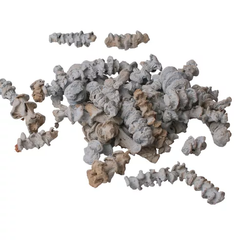 Banán szár 15dkg/csom - Tengerkék