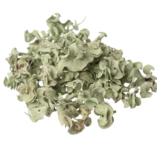 Curly termés 15dkg/csom - Zsályazöld