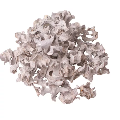 Curly termés 15dkg/csom - Fehér tea