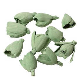 Shola tulipán 6cm 10db/csom - Zsályazöld