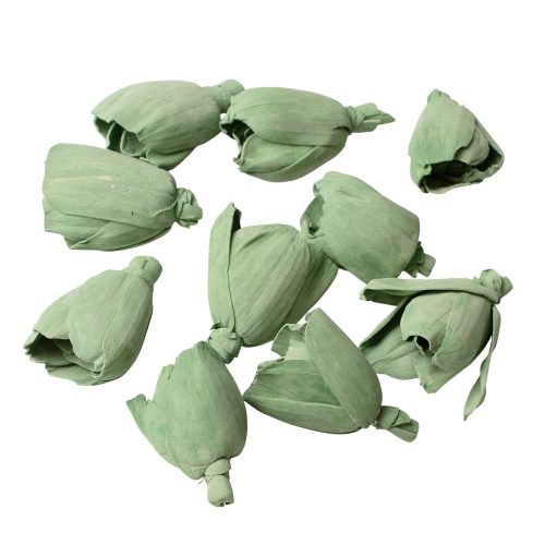 Shola tulipán 6cm 10db/csom - Zsályazöld