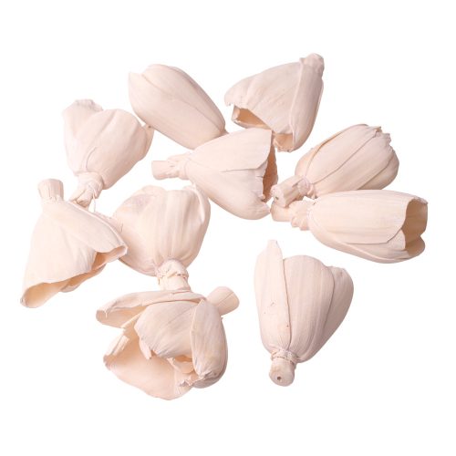 Shola tulipán 6cm 10db/csom - Fehér tea