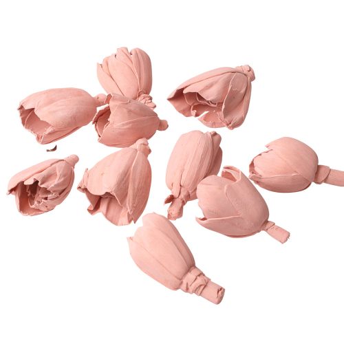 Shola tulipán 6cm 10db/csom - Pasztell rózsaszín