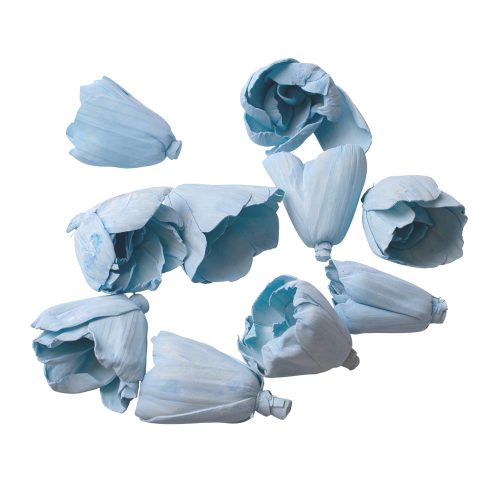 Shola tulipán 6cm 10db/csom - Hidegkék