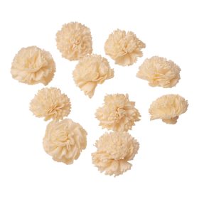 Shola szegfű 4cm 10db/csom - Natúr