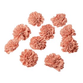 Shola szegfű 4cm 10db/csom - Pasztell rózsaszín