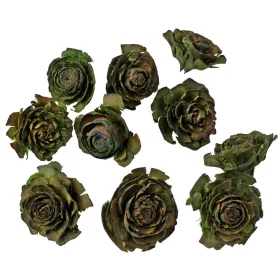 Cédrus rózsa 3-5cm 10db/csom - Sötétzöld