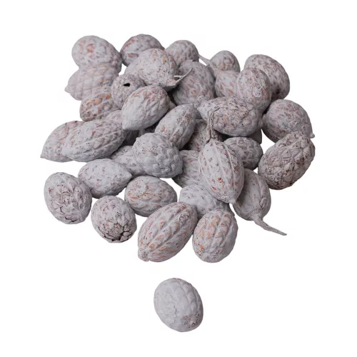 Cane fruit 15dkg/csom - Tengerkék