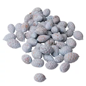 Cane fruit 15dkg/csom - Hidegkék