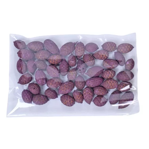 Cane fruit 15dkg/csom - Merlot
