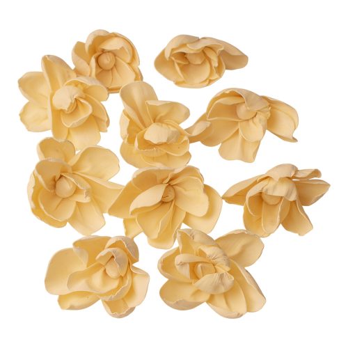 Shola peónia 10db - Fehérített