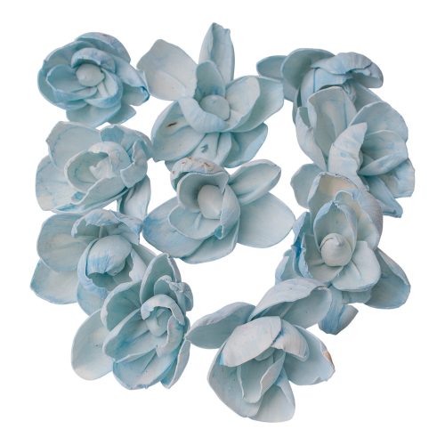 Shola peónia 10db - Tengerkék