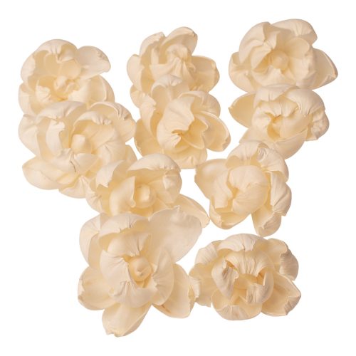 Shola peónia 10db - Fehér tea