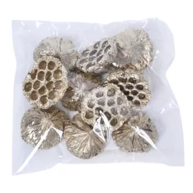 Közepes lótusz 6-8cm, 10db./csom - Arany