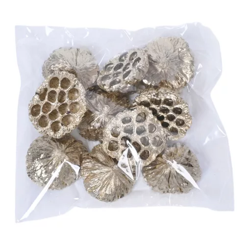 Közepes lótusz 6-8cm, 10db./csom - Arany