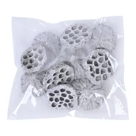 Közepes lótusz 6-8cm, 10db./csom - Hamvas
