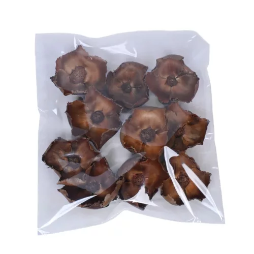 Pálma virág 5-7cm - Natúr