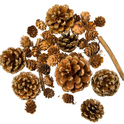 Winter decor package, with 2-7cm fruits - Gold