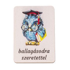   4db. "ballagásodra szeretettel" feliratos dekor tábla 7 x 5cm