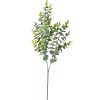 Eucalyptus bouquet, 3-stem, 70cm tall - Green / White
