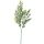 Eucalyptus bouquet, 3-stem, 70cm tall - Green / White