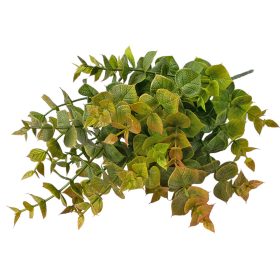 Eukaliptusz csokor, 5 ágú, 37cm magas - Zöld / Barna