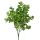 Eucalyptus bouquet, 5-stem, 37cm tall - Dark Green