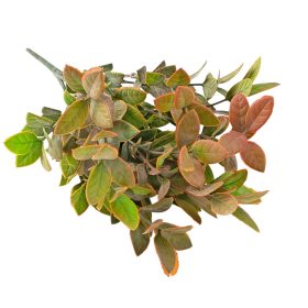 Eukaliptusz csokor, 7 ágú, 34cm magas - Zöld / Barna