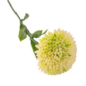 Dália szál, 50cm magas - Ekrü